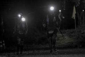 BIB: 7638
                            <button type="button" onclick="openModal(7023081)" class="btn btn-primary btn-sm float-right btn-popup" data-toggle="modal" data-target=".modal-high-quality">
                        <i class="fas fa-shopping-cart"></i> Add to Cart
                    </button>
                                            <button type="button" onclick="isThisMe(7023081, true)" class="btn btn-success btn-sm float-right btn-popup btn-isme hidden" data-toggle="tooltip" data-placement="bottom" title="นี่คือรูปของคุณใช่ไหม คลิกที่นี่เพื่อเอาเข้าอัลบั้ม">
                        <i class="fas fa-plus"></i> Add to album
                    </button>
                    <button type="button" onclick="isThisMe(7023081, false)" class="btn btn-warning btn-sm float-right btn-popup btn-isnotme hidden">
                        <i class="fas fa-ban"></i> Remove from album
                    </button>